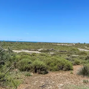 L'oiseau Des Sables Saintes-Maries-de-la-Mer